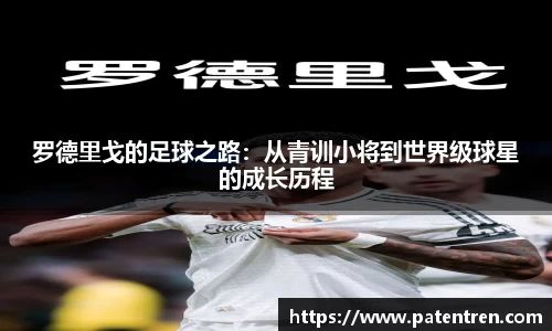 米兰体育官网